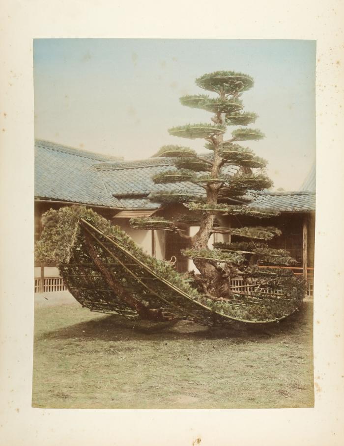 Japan. - Souvenir-Album
