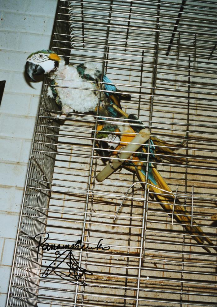 Flugbetrieb