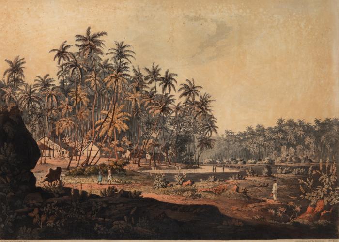 Sri Lanka. – Daniel Havell nach Henry Salt: View near Point de Galle, Ceylon.