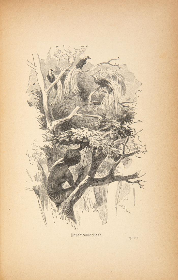 Chalmers, J. u. W. W. Gill: Neuguinea. Reisen und Missionsthätigkeit während der Jahre 1877 bis 1885.