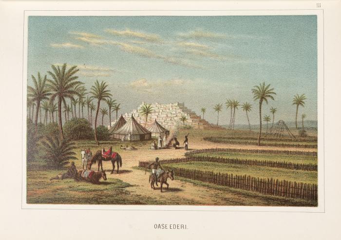 Die Sahara oder Von Oase zu Oase. Bilder aus dem Natur= und Volksleben in der großen afrikanischen Wüste.