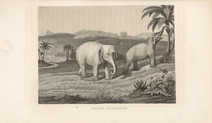 Die Wundermappe oder sämmtliche Kunst- und Natur-Wunder des ganzen Erdballs. Zweite Haupt-Abtheilung: Asien. 2 Bde. Frankfurt am Main: Comptoir für Literatur und Kunst 1837-39.