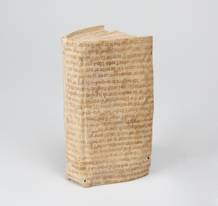 Karmeliterorden. - La regle et constitutions des religieuses deschaussées, de l’ordre de la glorieuse Vierge Marie, du Mont-Carmel.