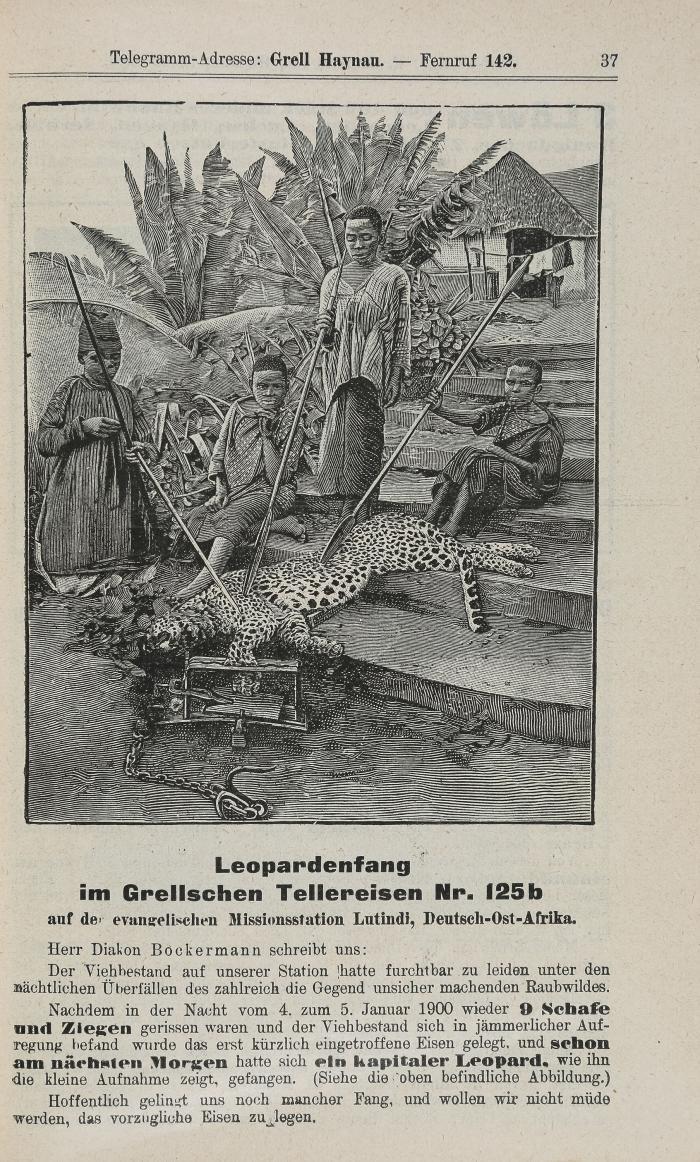 Raubtierfallen. - Preis-Courant Nr. 60 der Haynauer Raubthierfallen-Fabrik E. Grell & Co., Haynau i(n) Schl(esien).