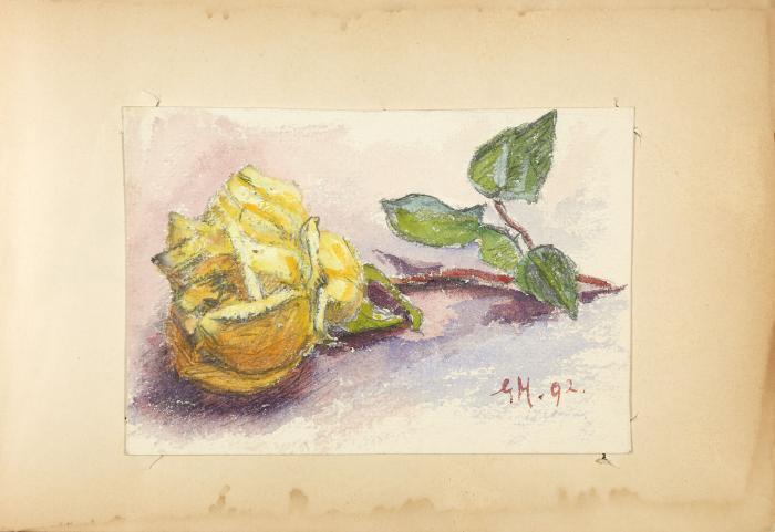 Album amicorum aus der Berliner Künstler- und Intellektuellenszene der Kaiserzeit und der Weimarer Republik mit eigenhändigen Einträgen, Zeichnungen, Aquarellen und Druckgraphiken. 1892–1935. 16,3 x 23,2 cm. Pgt. mit goldgepr. Deckelbordüre.