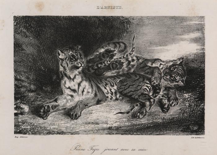 Jeune tigre jouant avec sa mère