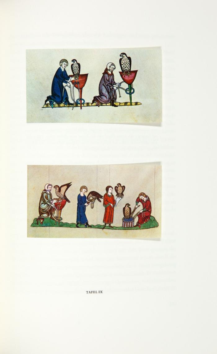 Über die Kunst mit Vögeln zu jagen. Unter Mitarbeit von Dagmar Odenthal übertragen und herausgegeben von Carl Arnold Willemsen. 2 Bde.